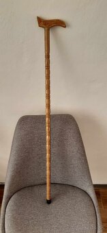 Vychádzková palica - 5