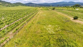 Pozemok s veľkým potenciálom v Pezinku s výmerou až 5190 m2 - 5