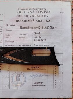 Nemecký obrovitý strakáč - 5