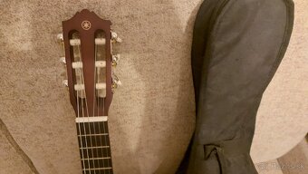 Predan guitalele - 5