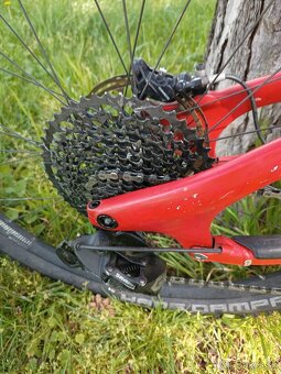 Predam carbon downhill NORCO - 5