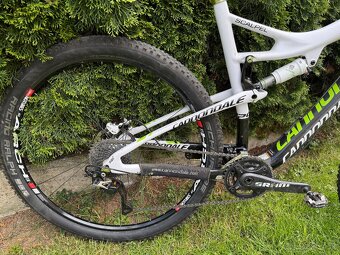 Predam Cannondale scalpel - 5