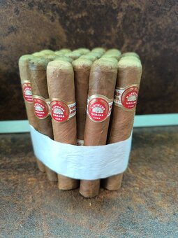 Cohiba robustos - 5