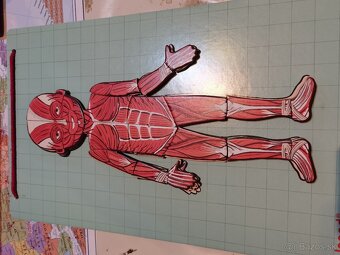 Predám ľudské telo magnety - 5