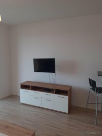 Prenájmem 1- izbový byt v Bratislave v Slnečniciach - 5