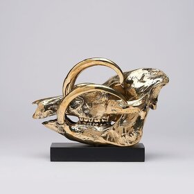 Bronzová lebka Babirusa na stojane Bronz - 5