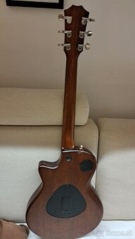 Taylor T5Z - USA - 5