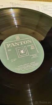 LP Dagmar Andrtová -Voňková - 5