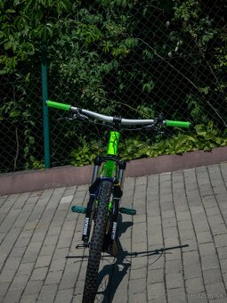 Kellys Whip - 5
