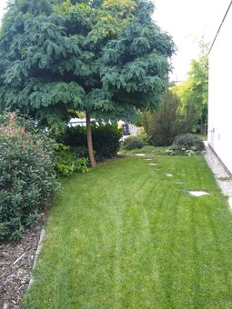 Bývajte na čistom vzduchu so svojím zvieratkom - 5