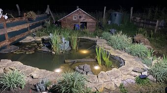 Pozemok v Bratislave - 5