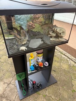 Akvárium DIVERSA 54L+komplet prislusenstvo - 5