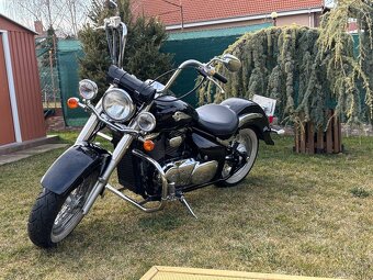 Suzuki VS 800 Intruder Volusia 16tis km - 5