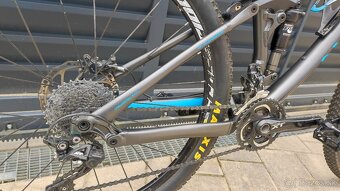 Canyon nerve 8.9 - 5