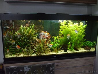 Predam akvarium kompletne s prislušenstvom bez ryb - 5