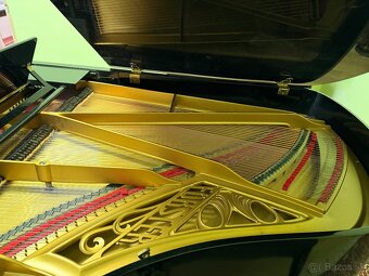 AUGUST FORSTER 170 - 5