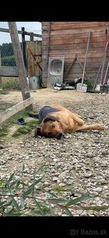 Darujeme fenku ❤️ - 5