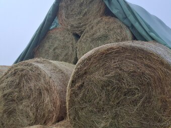 Seno-slama-pšenica - 5