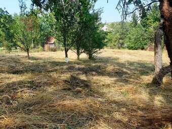 Na predaj investičný pozemok "záhrada" o výmere 691 m2 - 5