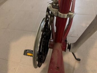 Bicykel Dema - 5