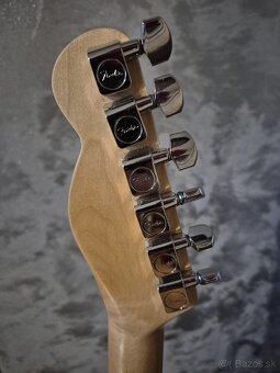 Fender "Partcaster" 2009 - 5