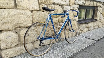 Favorit 1954 - 5