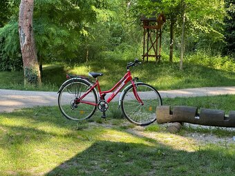 Bicykel Favorit Supair - 5