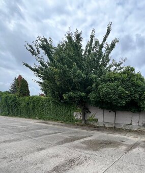 prenajom pozemku - 5