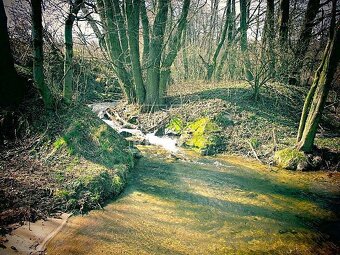 Súbor rekreačných pozemkov 1 ha v krásnej prírode , obec... - 5