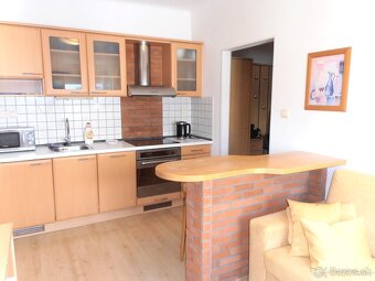 Prenájom 1izbovy byt s kuchynou 40m2 Staré Mesto - 5