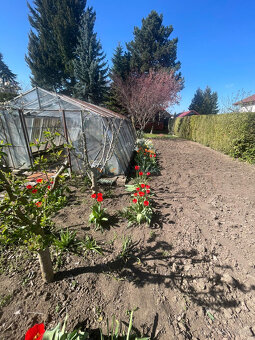 Oáza pokoja v Leviciach - 5