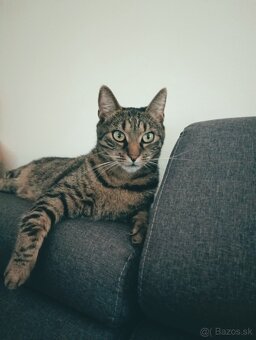 Diego - 5
