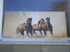 Predám exkluzívne dekorované dlažby 60x120 cm - 5