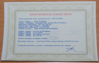 OBRAZ - Litografia - Andy Warhol - Franz Kafka - 5