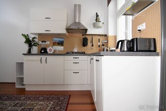 Štýlový, veľký 1-izbový byt v širšom centre - 5