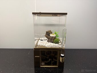 🐜 Predám formikárium + kolóniu Camponotus nicobarensis (krá - 5