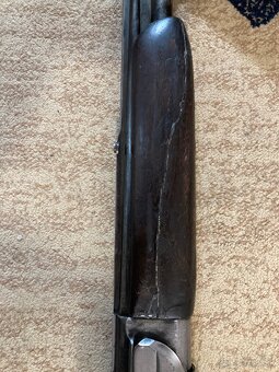 gulobrokova kozlica - 5