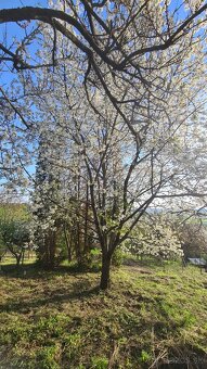 Záhradka - Mlynárska hora - 5