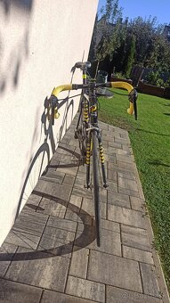 Cestný bicykel Dema alvito - 5