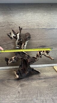 2x Drevo do akvária, 25€ kus - 5