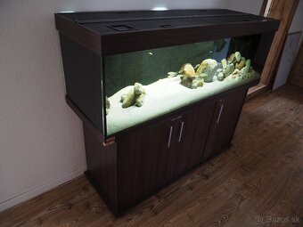 Akvárium 150x50x50 - 5