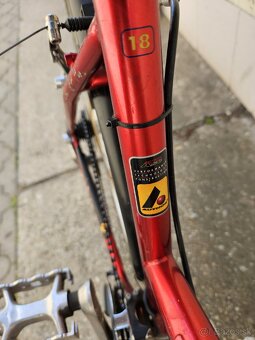Bicykel author linea - 5
