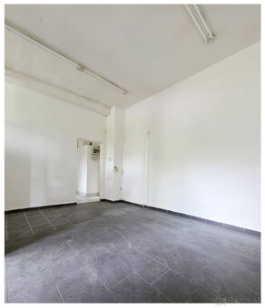 SÁSOVÁ / KOMERČNÝ ALEBO PREVÁDZKOVÝ PRIESTOR / 31 m2 / - 5