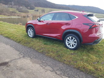 Lexus NX 300 h - 5