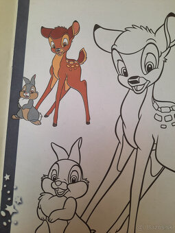 A4 Disney omaľovánka - 5