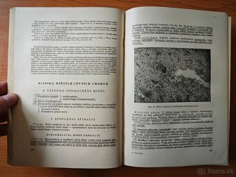 Speciální neurologie / Psychológia pamäti - 5