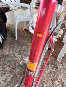 Predám dámsky bicykel - 5