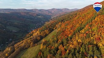 Les v katastrálnom území Vydrná 38460m2 - 5