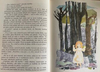 Babička - Božena Němcová - 5