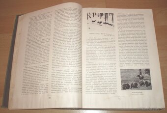Naša zverina - 5